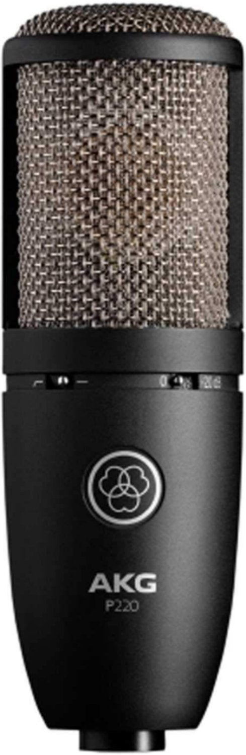 AKG P220 Project Studio Condenser Microphone Large