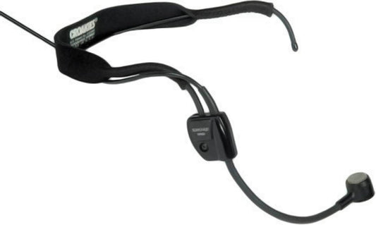 Shure WH20XLR Dynamic Headset Microphone