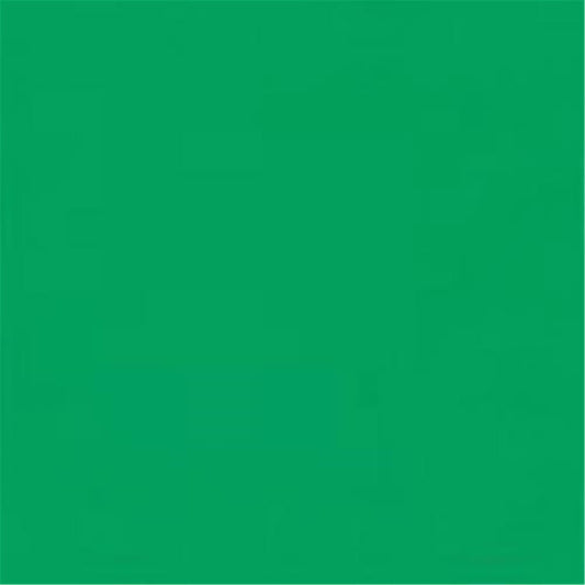 ADJ American DJ Professional Color Filter Green